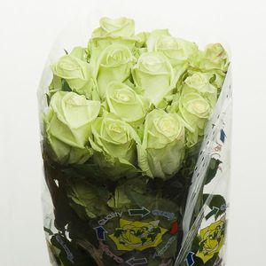 ROSE GREEN TEA 50